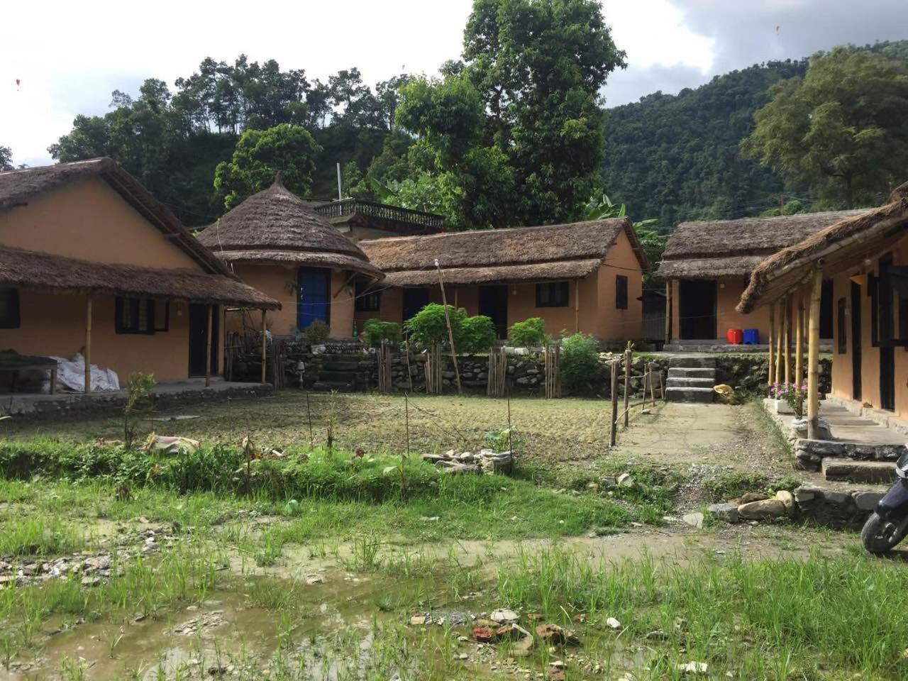 My Beautiful Cottage In 포카라 외부 사진